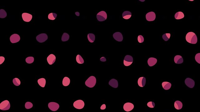 Pink and plum blob dots popping in and out as a playful transition isolated on a transparent background