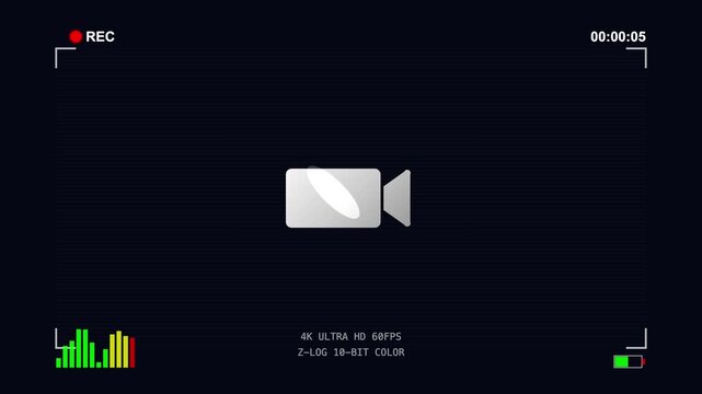 Digital camera viewfinder recording screen overlay with technical display