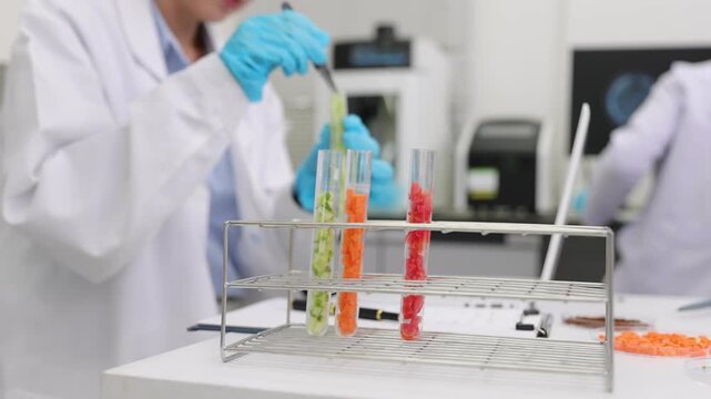 Scientist examining diced vegetable samples in test tubes. Concept of food science, quality control, gmo research and biotechnology.