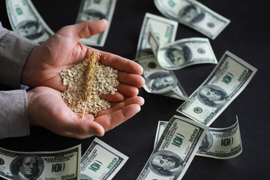 The concept of the cost of grain. 100 dollar banknotes around a handful of ground grain. World hunger.