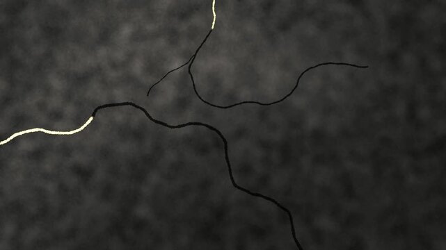 Gold filling ceramic cracks kintsugi animation