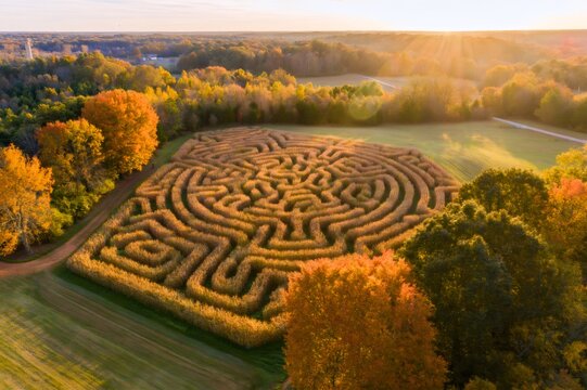 Aerial view of corn maze during golden hour in autumn