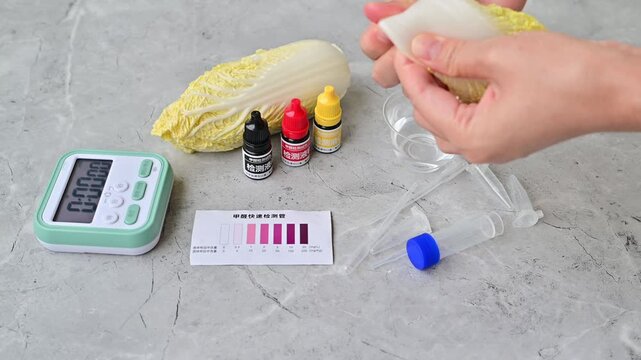 Food Formaldehyde Testing Process