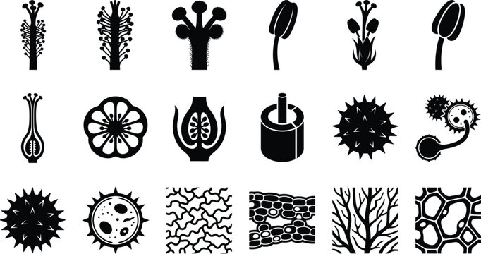 Set of botanical and biological icons featuring plant cells, pollen grains, and floral reproductive structures.