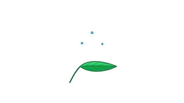 A flat vector animation sprite sheet depicting a green leaf with falling water droplets on a white background. Includes splash frames for game design. Ideal for sustainability projects.