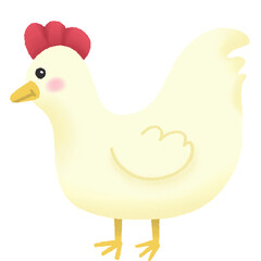 cute chicken © 24