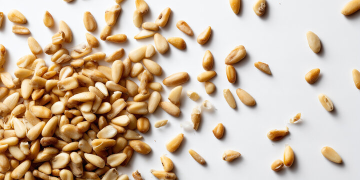 Scattered Pine Nuts on White Background with Natural Shadows