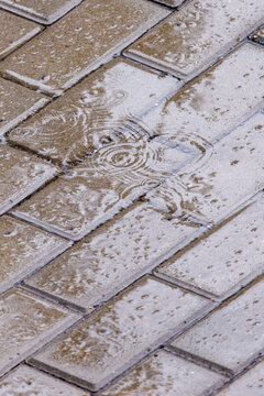 Wet brick pavement with water ripples and droplets
