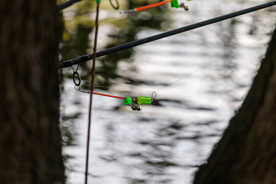 Fishing rod hangs near water's edge