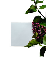 Blank vertical paper card mockup with dark purple flowers on the edge isolated on white © Meilan Photography