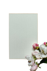 Blank vertical paper card mockup adorned with pale pink and white flowers isolated on white © Meilan Photography