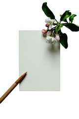 Blank vertical paper card mockup with a white flower cluster and wooden pen on white © Meilan Photography