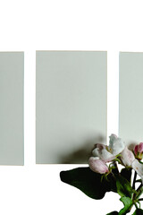 Three blank vertical paper card mockups overlapping with dark flowers isolated on white © Meilan Photography