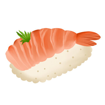 Japanese ebi shrimp nigiri sushi vector illustration isolated on transparent background. Traditional seafood delicacy icon.