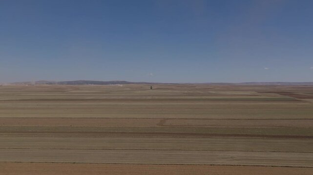 An aerial view shows broad cultivated fields with parallel rows, curved vehicle tracks and a lone tree beneath distant rocky hills in Aragon, Spain.