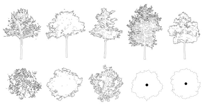 Pack of trees in elevation and plan view for use in architectural drawings	