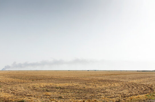 Harvested Farmland Field With Distant Smoke Plume on Horizon Under Pale Sky