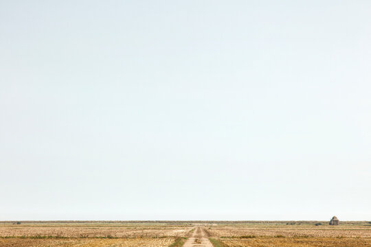 Empty Rural Road Through Golden Fields Toward Distant Hut Under Vast Pale Sky