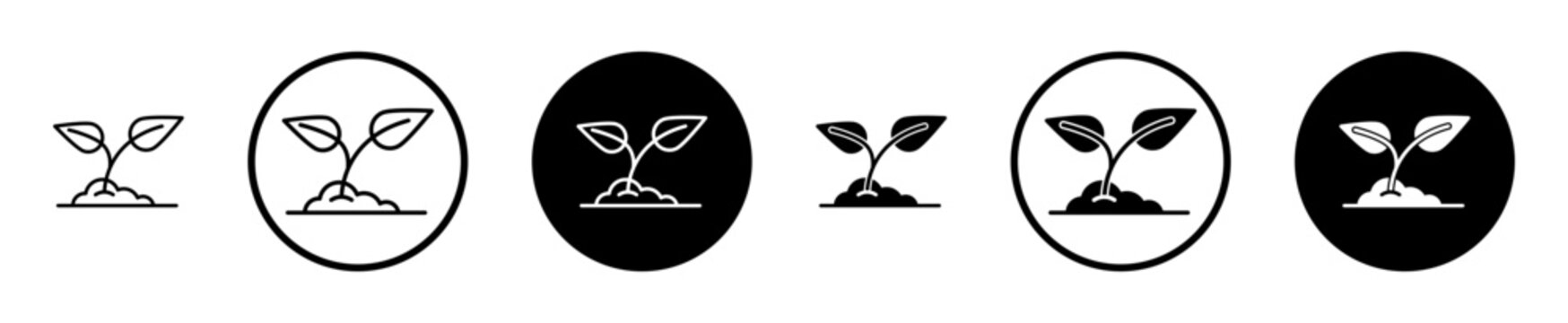 Seedling icon flat outline in black