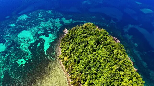 Aerial view of Port Barton Beach with lush green tropical vegetation and vibrant coral reefs in the clear blue sea in Mimaropa, Philippines.