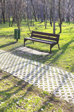 Empty park wooden bench and a trach bin