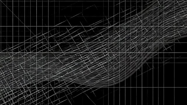 Moving Moir&eacute; Interference Pattern Overlay with Fine Grid Distortion
