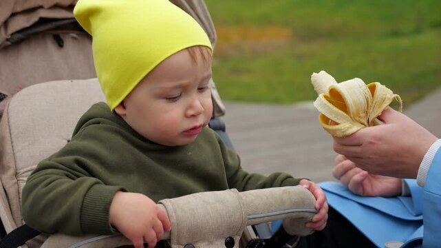Small Child In Warm Clothing Sits Patiently In Baby Stroller Outside. Mother Feeds Fresh Yellow Fruit To Toddler, Who Eagerly Leans Forward To Taste Nutritious Banana Snack During Outing.