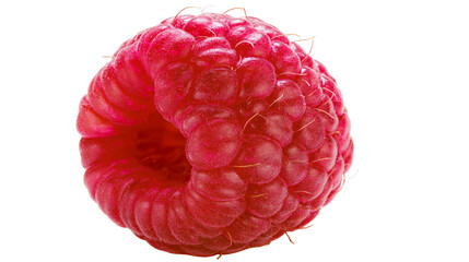 Single ripe red raspberry fruit with textured drupelets and fine hairs © Otso
