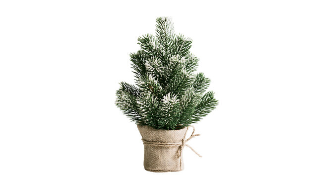 Small artificial Christmas tree with frosted green needles in a burlap sack pot