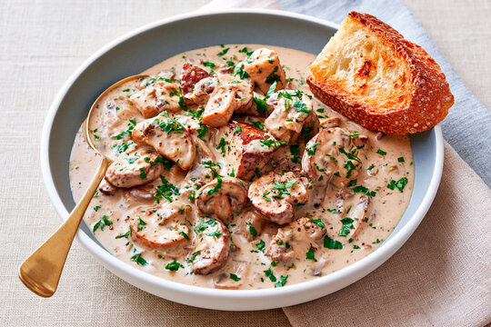 Creamy mushroom chicken with herbs served in bowl with toasted bread, hearty homemade comfort food and savory dinner meal