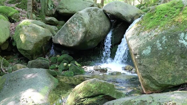 A natural forest stream flows over small cascades between large, partly moss-covered boulders in a shaded woodland area. Sunlight, filtered through the canopy, creates a play of light and shadow.