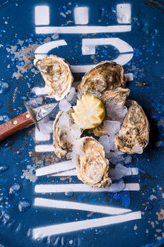 Freshly shucked oysters with lemon and crushed ice on blue background