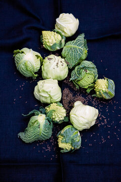 Baby cabbages including Savoy, romanesco, and white cabbage