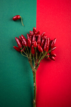 Bouquet of red chili peppers on split green and red background