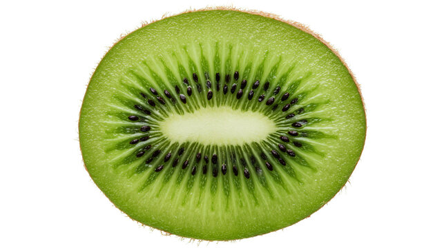 Fresh vibrant green kiwi fruit slice with black seeds and fuzzy brown skin