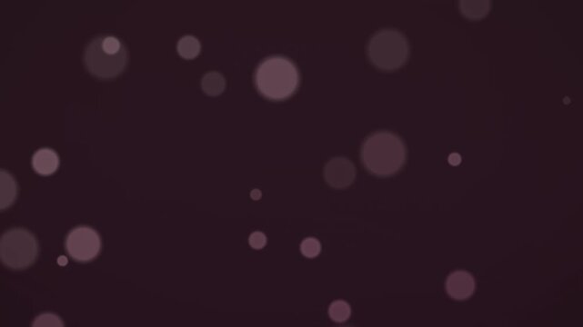 Defocused light in rose seamless motion background