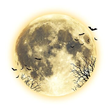 Spooky Full Moon with Bats and Bare Branches