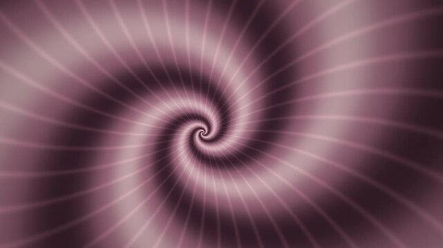 Nautilus sculpture in rose seamless motion background