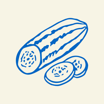 Hand Drawn Cucumber Slices Vector Line Art Doodle Illustration