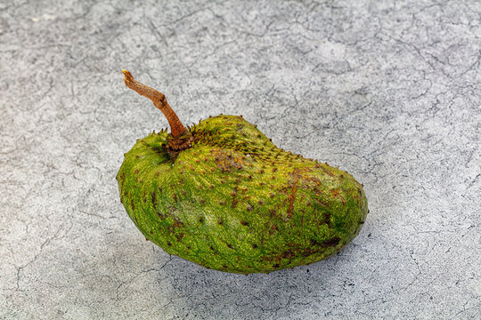 Whole green soursop fruit with brown stem and spiky skin texture on grey concrete surface tropical produce