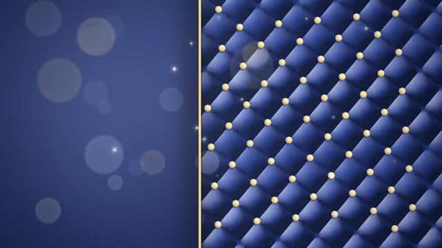 Navy blue velvet diamond tufted panel with gold buttons full scene