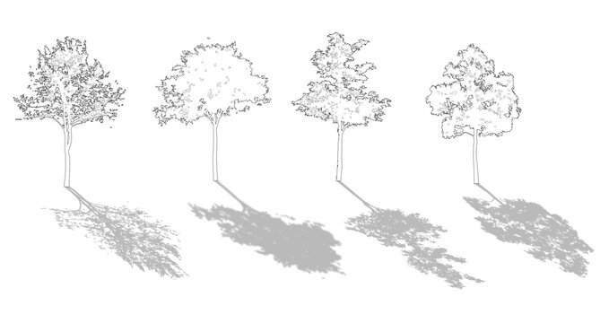 Set of axonometric trees for use in architectural drawing