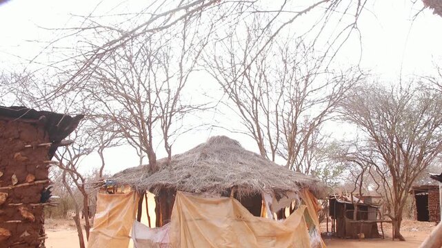 Rural homestead with thatched hut and dry trees