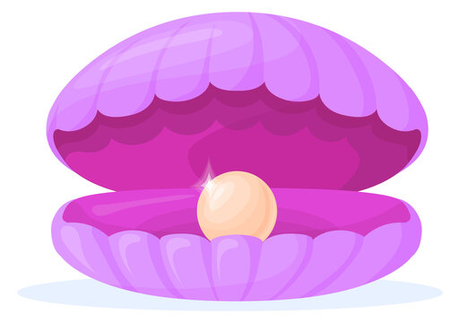 Elegant jewel sphere in open shell cartoon icon