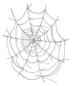 Spooky cobweb. Round spider net black element