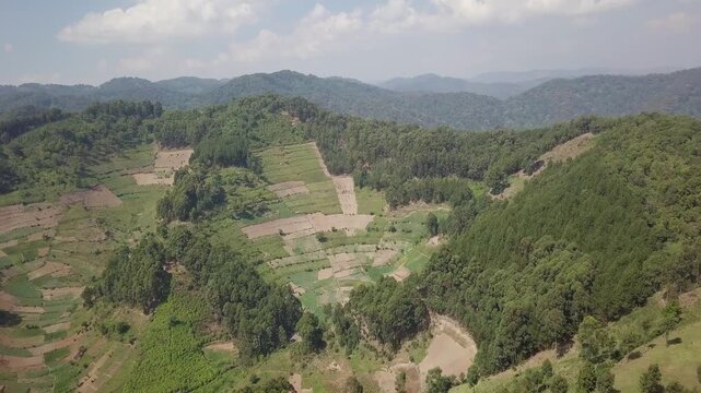 Forested ridge with terraced and cleared plots, eucalyptus stands, a red dirt track and a white roofed building in a grassy clearing where communities border Bwindi, Uganda, descending to treetops