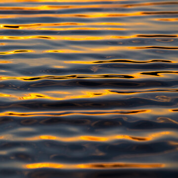 View of the rippling water surface of Lake Joondalup reflecting the golden light of sunset in Woodvale, Western Australia, Australia.