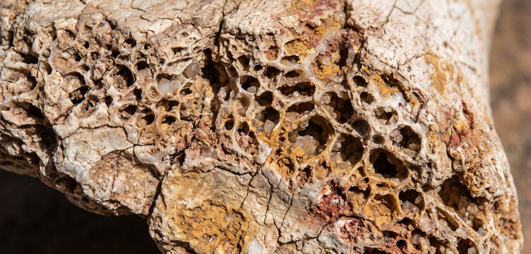 Close-up view of a textured rock with intricate patterns and holes, showcasing natural geological formations and mineral deposits on the surface.