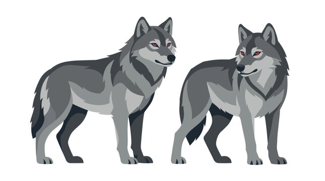 Flat design vector illustration of two grey wolves standing on a white background. Professional wild canine animals with red eyes and layered fur textures in shades of gray and charcoal.