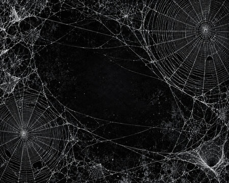 Fine Silver Cobwebs Framing a Dark Textured Halloween Background
